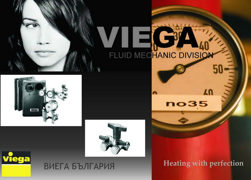 VIEGA2.jpg