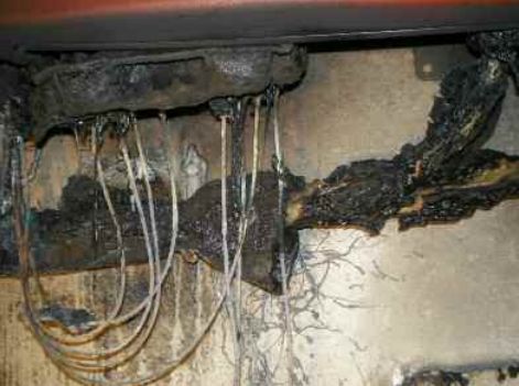 Щети от пожари-3.jpg