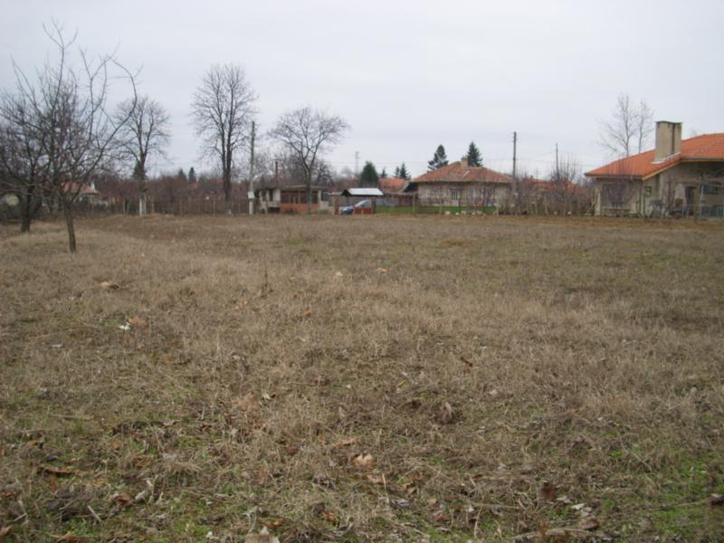 DSCI0078_2.jpg