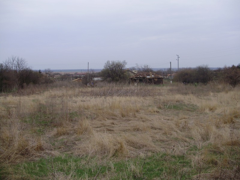 P3250143.JPG