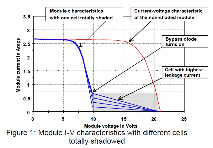 fig1.jpg